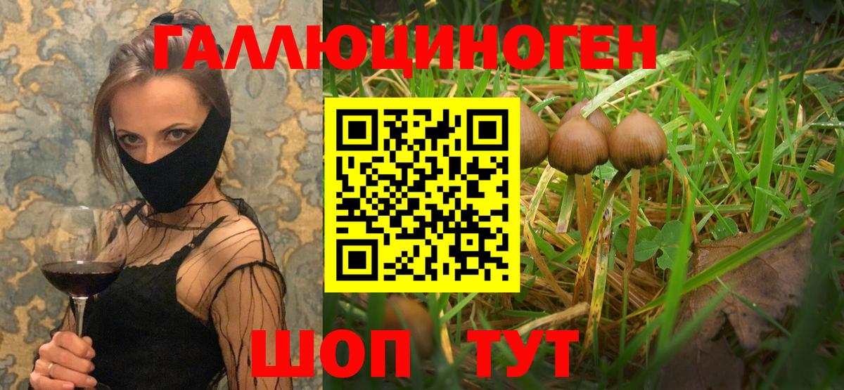 Курчатов  Псилоцибиновые грибы ЛСД  Вход с VPN 